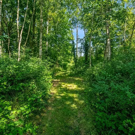 Patrice - 300m From The Sea By Interhome *